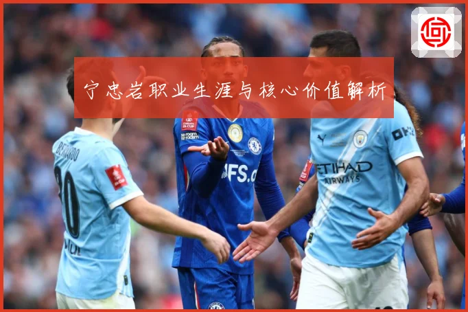 宁忠岩职业生涯与核心价值解析
